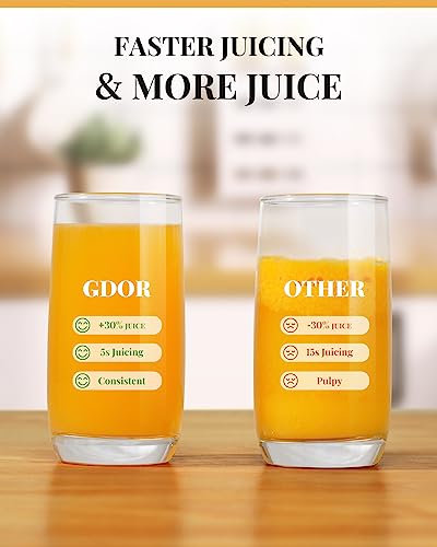 GDOR 1200W Juicer, 3.2" Wide Chute, Titanium-Enhanced Blade, Heavy-Duty Copper Motor, Dual Speed Centrifugal Juice Extractor, BPA-Free, Silver