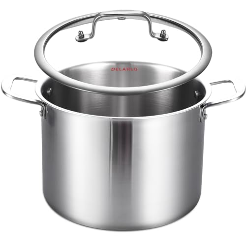 DELARLO Tri-ply Stainless Steel 20QT Stock Pot, Compatible with All Stoves Up to 600℉, 18/10 Induction Big Cooking Pot with Lid, Fast & Even Heating, Durable Large Soup Pot