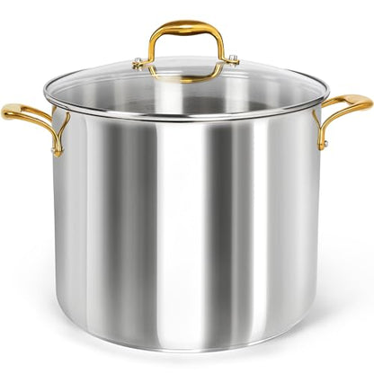 MICHELANGELO Stainless Steel Stock Pot - 20 Quart Soup Pot with Lid & Ergonomic Handle, Extra-Large Pots for Cooking, Suitable for All Stoves