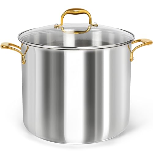 MICHELANGELO Stainless Steel Stock Pot - 20 Quart Soup Pot with Lid & Ergonomic Handle, Extra-Large Pots for Cooking, Suitable for All Stoves