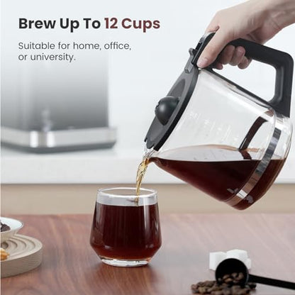 Gevi Touchscreen 12-Cup Coffee Maker, Bold & Iced Brew, Glass Carafe