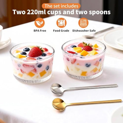Yogurt Maker with Timer and Temperature Control