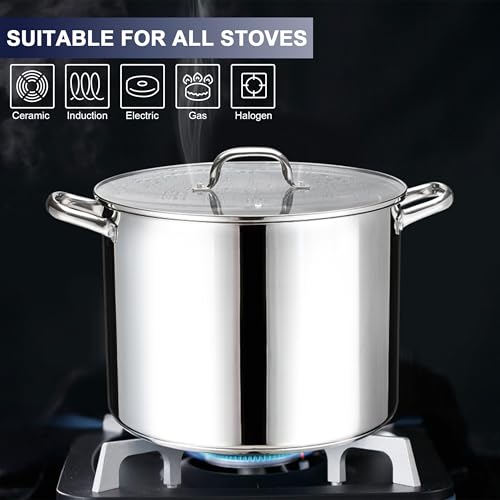14 QT Stainless Steel Large Stock Pot, LIANYU Heavy Stockpot with Glass Lid, Deep Soup Canning Pot for Stewing Simmering, Tri-ply Base for Induction, Halogen Cooktops, Dishwasher Safe