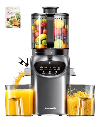 Juicer Machines with 6.5" Large Chute,3-in-1 Cold Press Juicer for Whole Vegetables Fruits 450W, Masticating juicer Easy to Clean Juice Extractor Machine for Making Nut Mike, (Premier Space Gray)