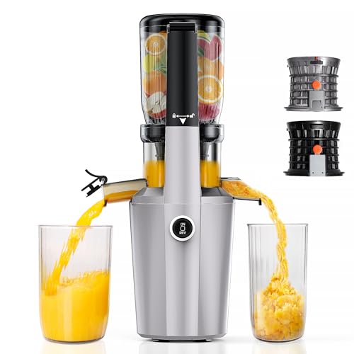Cold Press Juicer Machine, Slow Masticating Juicer with 96% Yield, Wide Chute for Whole Fruits, Ultra Quiet (<60dB) for Leafy Greens & Celery (Silvery)