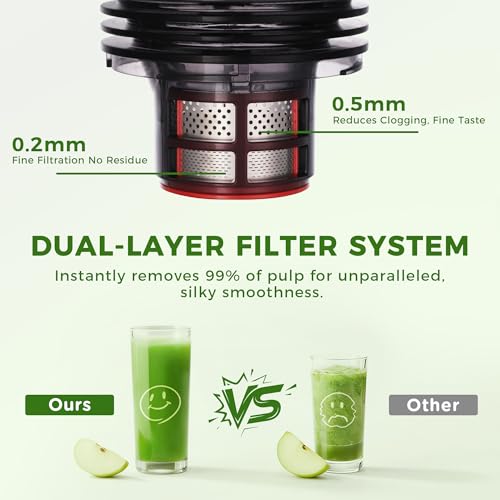Cold Press Juicer, 5.5inch Wide Feed Chute Juicer Machine, Slow Masticating Juicer for Whole Vegetables & Fruits, Gray