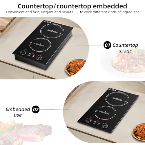 Wesonorous Double Induction Cooktop,110V 2600W 2 burner induction cooktop with hot plat with LED Touch Screen 10 Levels,Child Safety Lock & Timer 110V countertop burners