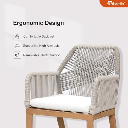 PURPLE LEAF 11 Pieces Patio Dining Set with Cushion and Wicker Arm, Teak