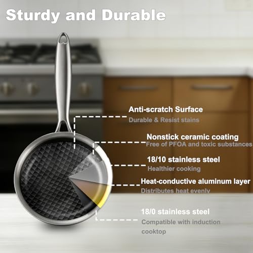 DELARLO Tri-Ply Stainless Steel 9Inch Omelette Pans Nonstick Frying Pan,Egg Pan Durable Chef's Pan,Induction Kitchen Skillets, Compatible with All Cooktops, Up to 600℉