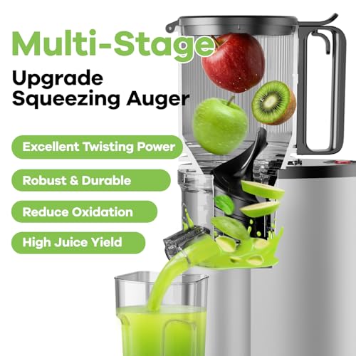 EanOruus Cold Press Juicer, 5.8" Wide Feed Chute Juice Extractor Machine with 400W, High Juice Yield, Slow Masticating Juicer for Whole Vegetables & Fruits, Silver
