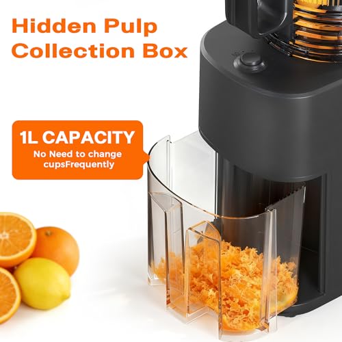 Cold Press Juicer with 5.5" Wide Feed Chute, Slow Masticating Juicer Machine for Whole Fruits & Vegetables, High Juice Yield, Gray