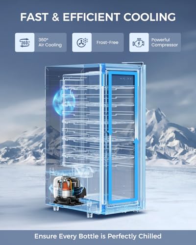Feelfunn 12 Bottle Wine Cooler Refrigerator - Small Wine Fridge for Red, White, Champagne, Freestanding Wine Cellar with Glass Door & Digital Temperature Control for Home Bar, Office