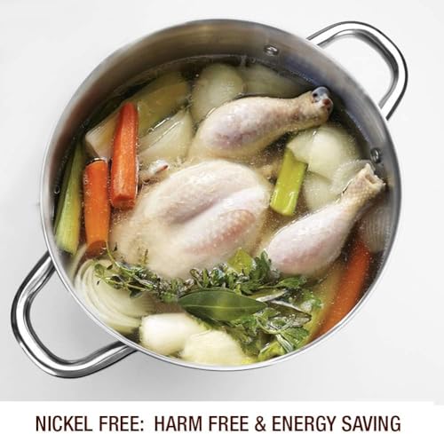 HOMICHEF 10 Quart Stock Pot With Glass Lid - Nickel Free Stainless Steel 10 Qt Pots With Handle - Mirror Polished StockPot 10 Quart - Induction Cooking Pots With Lid - Healthy Soup Pot