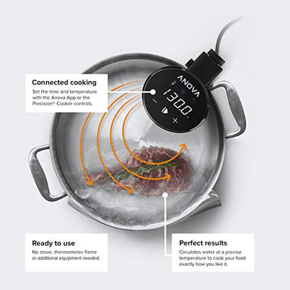 Anova Culinary Sous Vide Precision Cooker 2.0 (WiFi), 1000 Watts