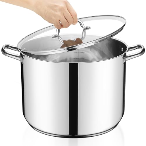 E-far 24-Quart Large Stock Pot, Stainless Steel Stockpot with Lid for Boiling Cooking Soup Stew Canning, Heavy Duty Tri-Ply Bottom Works w/Induction, Commercial Grade & Dishwasher Safe