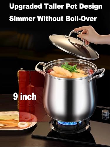 Stainless Steel Stock Pot, 12 Quart Heavy Duty Induction-Compatible with Visible Lid for Soups, Pasta, Stews, Canning, Boiling