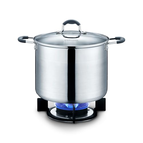 CONCORD Stainless Steel Stock Pot with Glass Lid (Induction Compatible) ((5 QT)