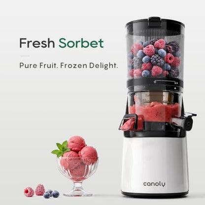 Canoly 3-in-1 Cold Press Juicer C16, Makes Juice & Sorbet & Nut Milk
