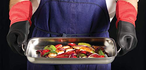 All-Clad Outdoor Stainless Steel Roaster 15x11 Inch Oven Broiler Safe 700F Roaster Pan, Pots and Pans, Cookware Silver