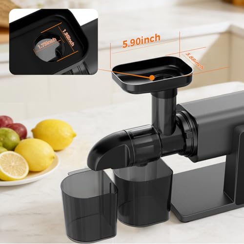Cold Press Juicer Machines, Slow Masticating Juicers with LED Smart Touch Screen, Professional Extractor for Leafy Greens, Kale & Fibrous Vegetables, 2 Modes & Reverse, BPA-Free
