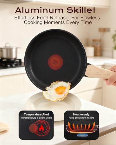 Yonida Non Stick Frying Pan, 8 inch Omelette Pan, Healthy Non Toxic Egg Pan with Heat-Resistant Handle, PFOA-Free Cooking Pan, Dishwasher Safe, Compatible with All Cooktops