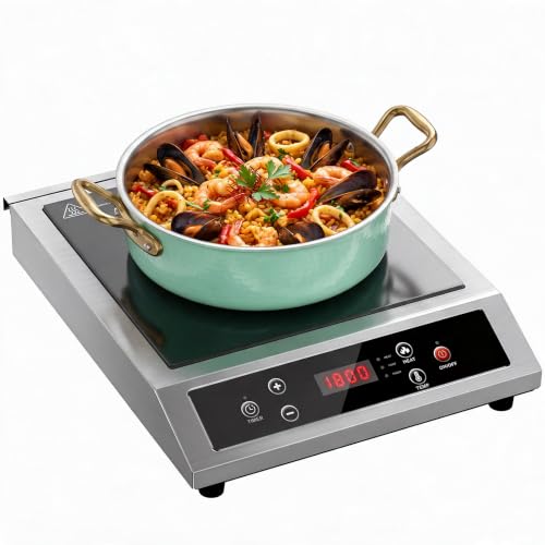 Stainless Steel Induction Cooktop, Portable Induction Burner 1800W