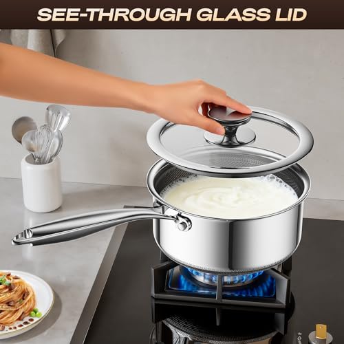 ZEROPAN 1 Quart Stainless Steel Saucepan with Glass Lid,6 Inch Hybrid Nonstick Sauce Pan,PFAS PFOA PTFE Free,Stay-Cool Handle,Dishwasher-Friendly,Oven-Safe,Small Pots Compatible with All Cooktops