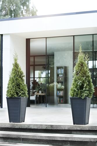 Keter Set of 2 Resin Modern Outdoor 22 Inch Tall Large Flower Pots, Tapered Wood Look Planters for Outdoor Plants and Front Porch Decor, Graphite