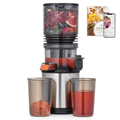 Cold Press Juicer Machine with 6" Extra-Wide Feed Chute,Triple Stainless Steel Filter,Quiet DC Motor,Easy to Clean,Slow Masticating Juicer High Juice Yield, Grey