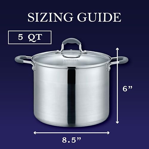 CONCORD Stainless Steel Stock Pot with Glass Lid (Induction Compatible) ((5 QT)
