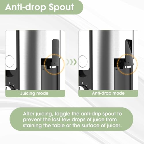 Juicer Machine 800W Centrifugal Juicer Extractor with Big Mouth Large Wide Mouth 3” Feed Chute for Fruit Vegetable Easy to Clean Stainless Steel BPA Free