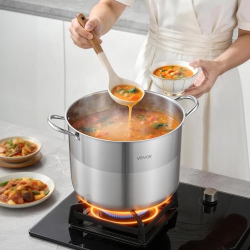 VEVOR Stainless Steel Stock Pot, 16QT Stainless Steel Stockpot with Glass Lid, PFOA-Free, PFAS-Free, Compatible with Gas Stoves, Induction Cooktops, Electric Stoves, for Soups, Stews, and Pasta
