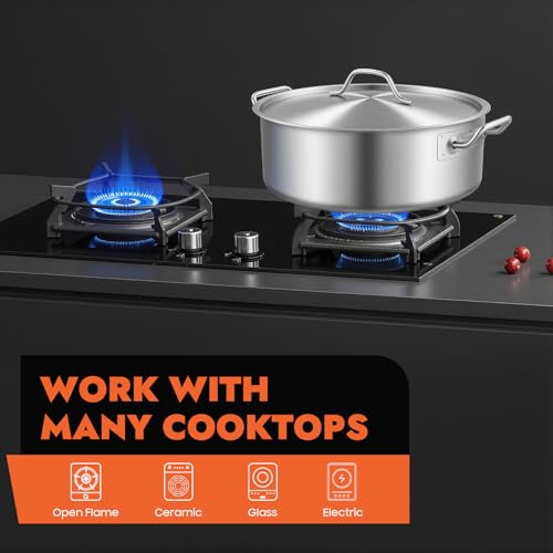 FUODIHEE 11Qt Stainless Steel Braisers with Lid, Commercial Stock Pot Brazier Saute Pan with Handles, All-purpose Soup Saute Pan for Hot Pot Stew, Dishwasher & Microwave Safe, 13inch