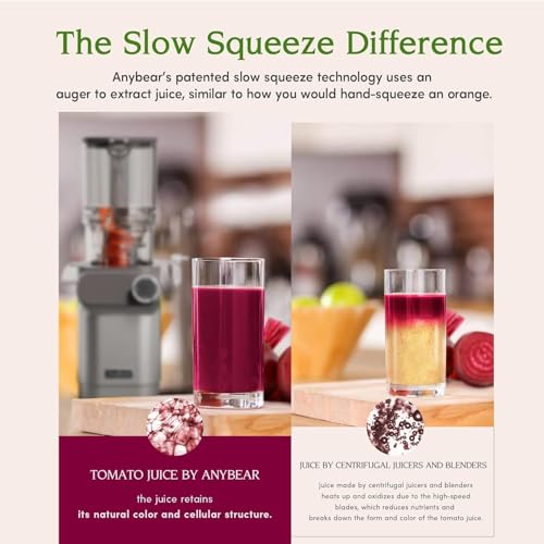 Anybear Cold Press Juicer 200W Masticating Slow Juicer 4.3" Large Feed Chute Fit Whole Fruits Vegetables | Upgraded Auger | Tritan Material | BPA Free | Juice Recipes (Silver Gray)