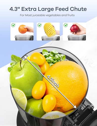 Ganiza Cold Press Juicer Machines, 4.06" Wide Feed Chute, High Juice Yield