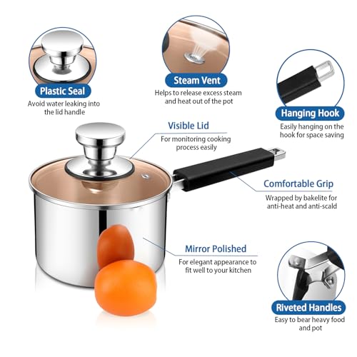 P&P CHEF 1 Quart Sauce Pan and Pot with Lid, Tri-Ply Stainless Steel Saucepan Cookware for Induction & Multi Stoves, Heat-proof Handle & Visible Glass Lid, Dishwasher Safe