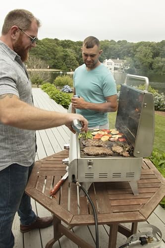 Cuisinart Chef's Style Tabletop Portable Propane Grill, 20,000 BTU Stainless Steel 2-Burner Outdoor Gas Grill for Camping, Tailgates, BBQ, Hassle-Free Setup, Twist-Start Ignition, CGG-306