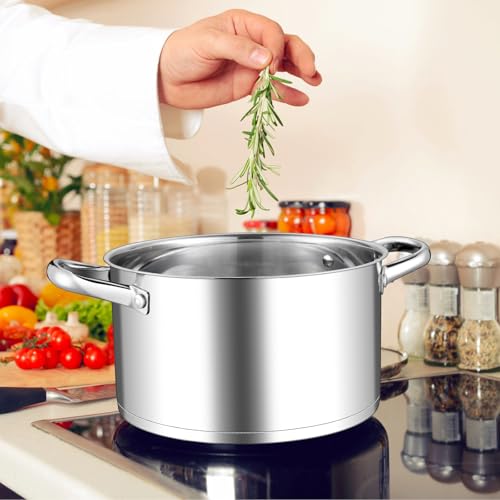 Leonyo 5 Quart Stock Pot with Lid, 18/10 3-ply Stainless Steel Stockpot for Induction Ceramic Gas Stoves, Heavy Duty Cooking Pot for Canning, Boiling, Simmering, Cooking Pot for Pasta, Soup, Spaghetti
