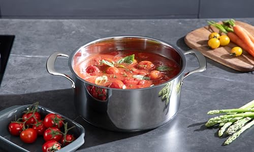 SANFELA 8 Quart Stainless Steel Stock Pot With Glass Lid, 5 Ply Stainless Clad, Induction Compatible, PTFE, PFAS and PFOA Free