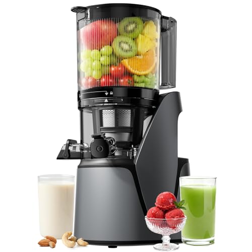 EanOruus Juicer Machines, 3-in-1 Cold Press Juicer with 6.5" Extra Large Chute, 100oz Large Capacity, AC Motor, Makes Juice, Nut Milk & Sorbet, Premium Gray