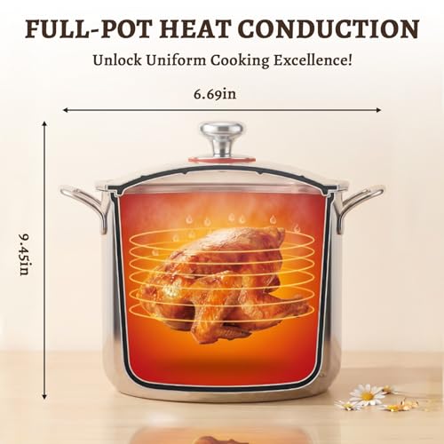Ptaciow Titanium Stock Pot,8Quart Stock Pot with Lid,Lightweight and Healthy Soup Pot,Induction All Stovetops,Large Capacity Titanium Cooking Pot for Soup,Pasta,Boiling,Stewing