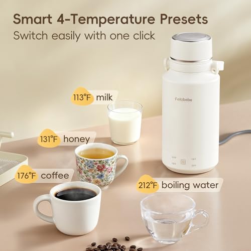 Felizbebe 33.8 Oz/1000mL Portable Electric Kettle,304 Stainless Steel Travel Kettle Electric,4 Temp Settings with Holding Heat,600W Fast Boiling Water with Auto Shut-Off and Boil Dry Protection