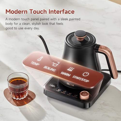 OLEGA Gooseneck Electric Kettle: 1000W Electric Kettles with Temperature Control 0.8L Stainless Steel Electric Tea Kettle Gooseneck Kettle for Coffee Tea Keep Warm (Black)