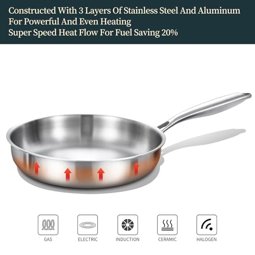 DELARLO Full Clad Tri-Ply Stainless Steel Frying Pan 10 inch, All Stove Compatible Up to 600℉, Heavy Duty, Oven Safe Skillet, 18/10 Cooking Pan, Chef's Pan for Kitchen, Omelette Pan, Flat Bottom