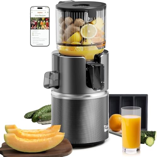Anybear Cold Press Juicer, 350W Masticating Juicer for Juice, Nut Milk & Sorbet, Dual Slow-Squeezing Technology, 4.9" Feed Chute for Whole Fruits & Vegetables, BPA-Free Tritan (Grey & Silver)
