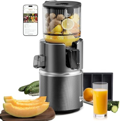 Anybear Cold Press Juicer, 350W Masticating Juicer for Juice, Nut Milk & Sorbet, Dual Slow-Squeezing Technology, 4.9" Feed Chute for Whole Fruits & Vegetables, BPA-Free Tritan (Grey & Silver)