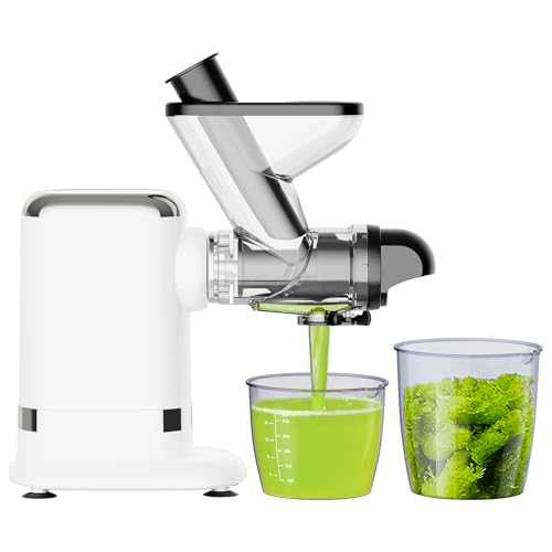 GVODE Cold Press Juicer, Powerful Masticating Juicer with Dual Feed Chute, Electric Juicer with Pulp Separation, Countertop Juicer Machines, 75dB, 3 Mode Operations, Overheat Protection