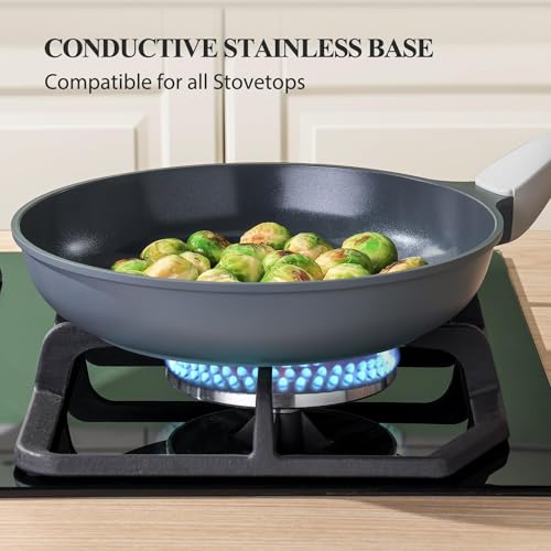 PRICUSIS Nonstick Ceramic Frying Pan with Lid, Non Toxic Skillet, Healthy Egg & Omelet & Chef's Skillet, PTFE PFOA & PFAS Free, Induction Compatible. (10Inch W/L)