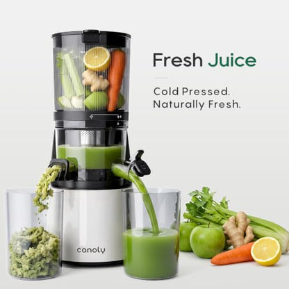 Canoly 3-in-1 Cold Press Juicer C16, Makes Juice & Sorbet & Nut Milk