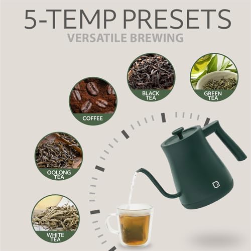 WILLOW ECO SERIES Gooseneck Electric Kettle with 5 Temperature Presets and Keep Warm Feature, 0.8L Pour Over Kettle for Coffee & Tea 1200W Quick Heating with 100% Stainless Steel Interior Water Heater